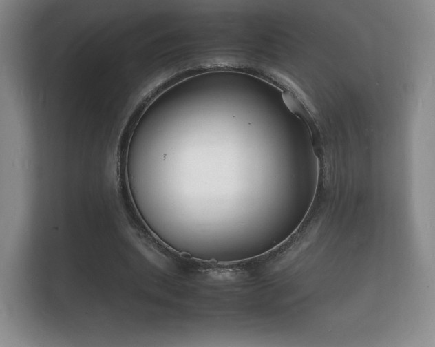 X0000112150439200908141218