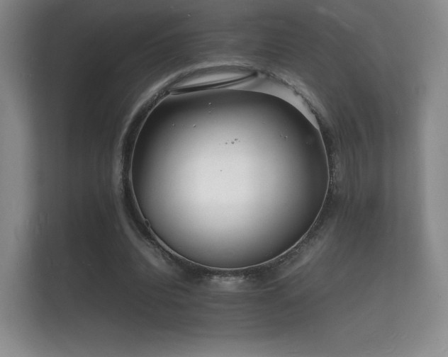 X0000112150440200908141218