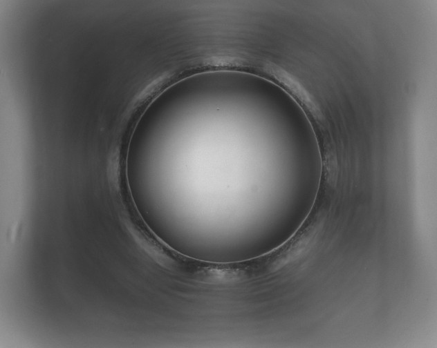 X0000112150442200908141218