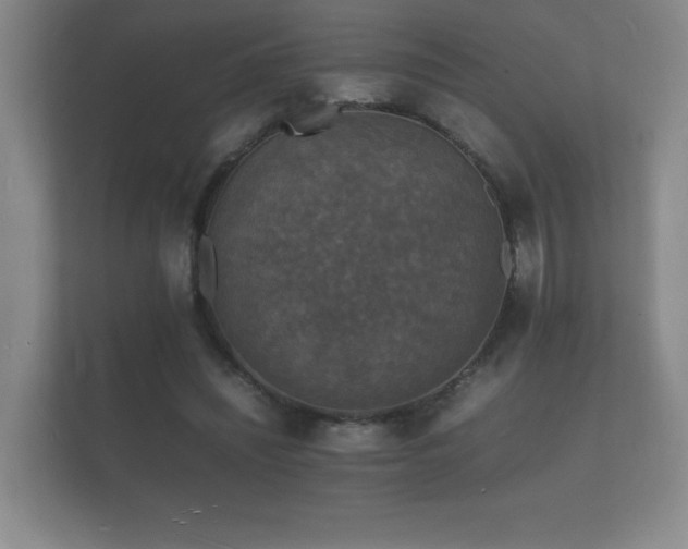X0000112150444200908141218