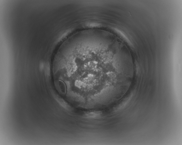 X0000112150447200908141218