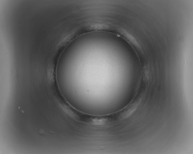 X0000112150450200908141218