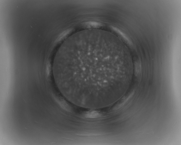 X0000112150451200908141218