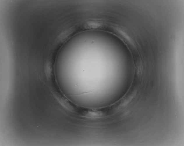 X0000112150455200908141218