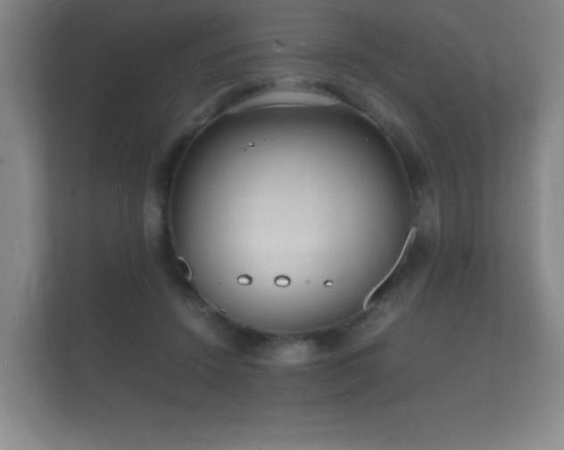 X0000112150456200908141218