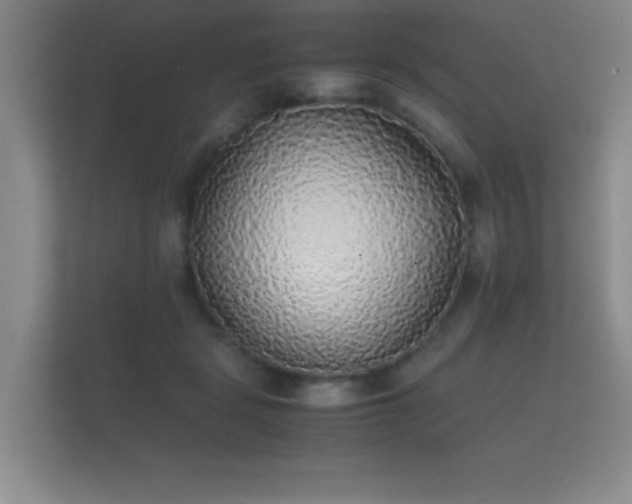 X0000112150461200908141218