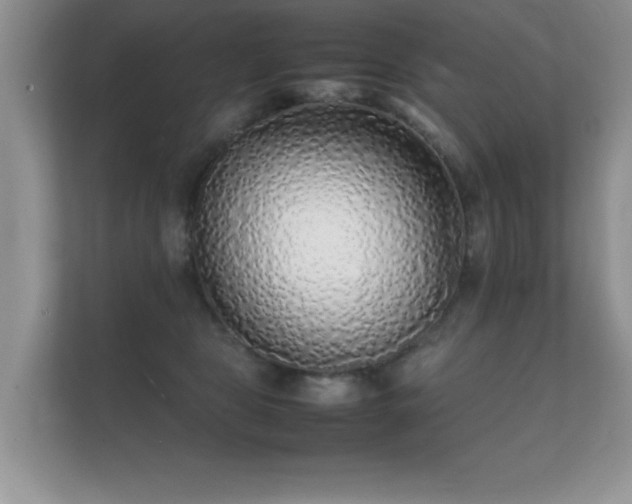 X0000112150469200908141218