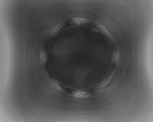 X0000112150471200908141218