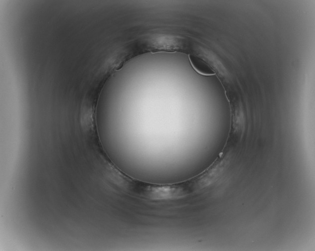X0000112150473200908141218