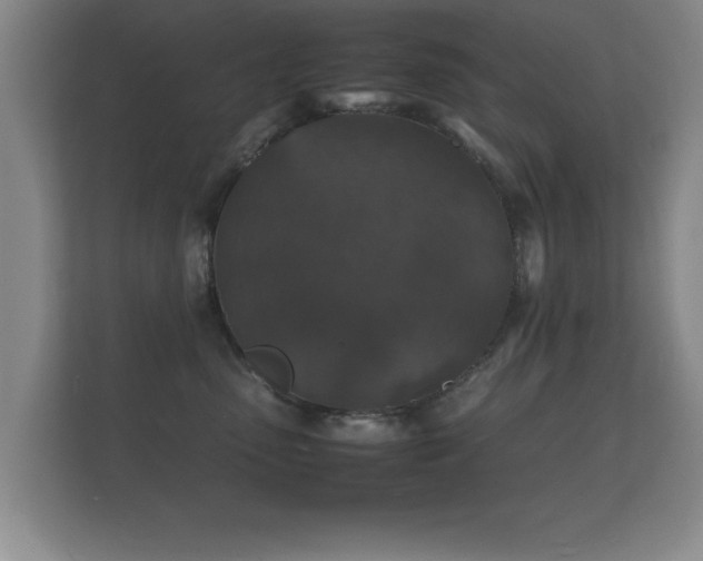 X0000112150475200908141218
