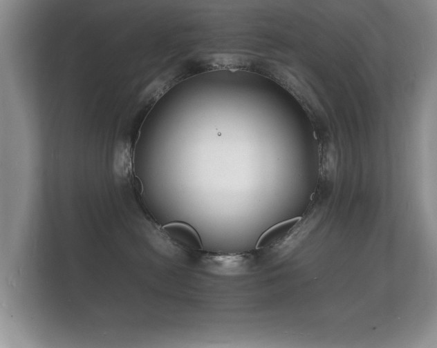 X0000112150478200908141218