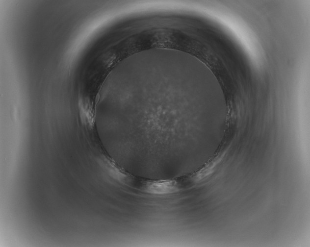 X0000112150479200908141218