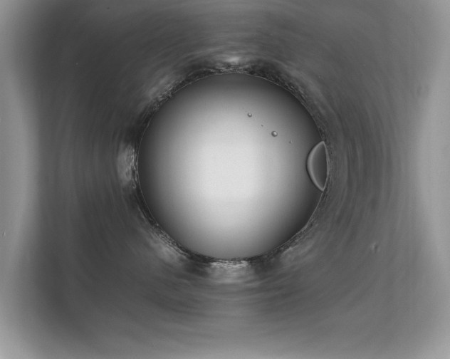 X0000112150480200908141218