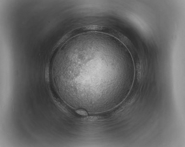 X0000112150482200908141217
