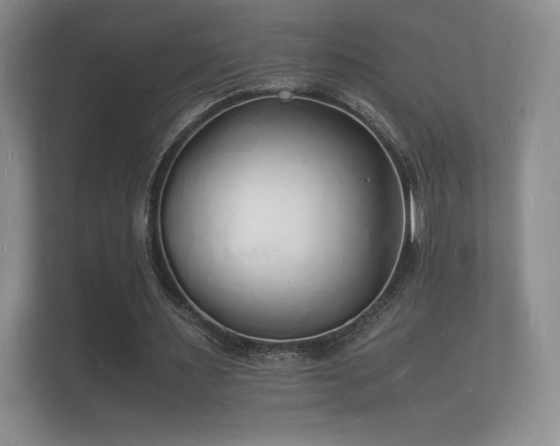 X0000112150483200908141217