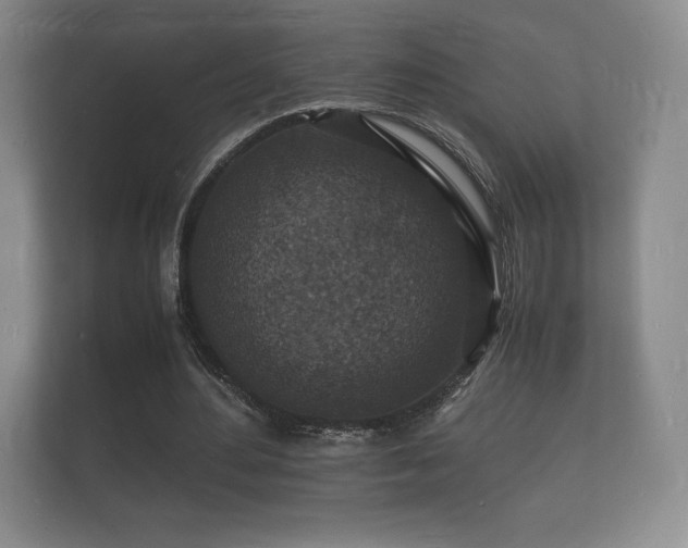 X0000112150484200908141217
