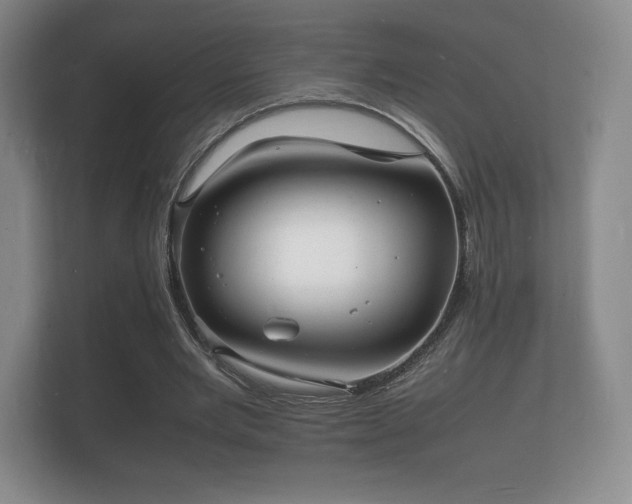 X0000112150485200908141217