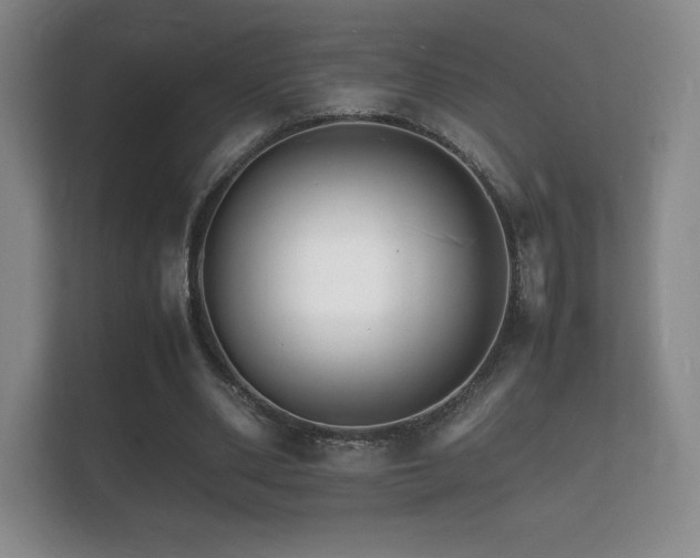 X0000112150486200908141217