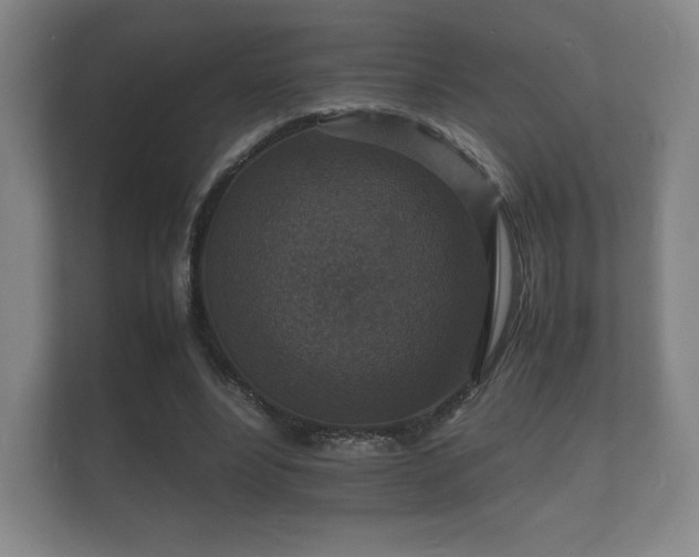 X0000112150488200908141217