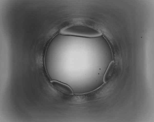 X0000112150489200908141217