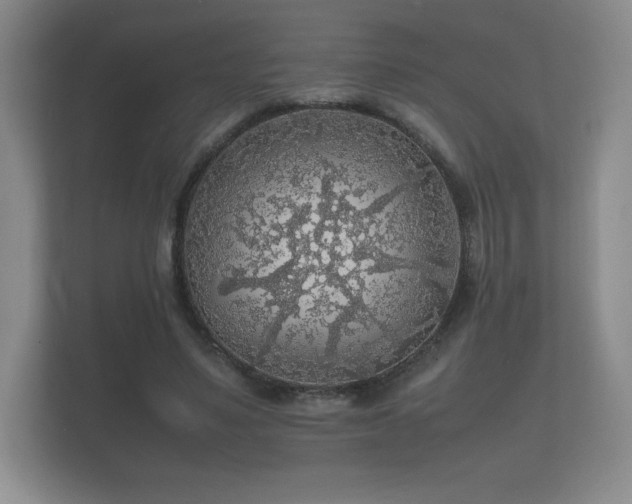 X0000112150491200908141217
