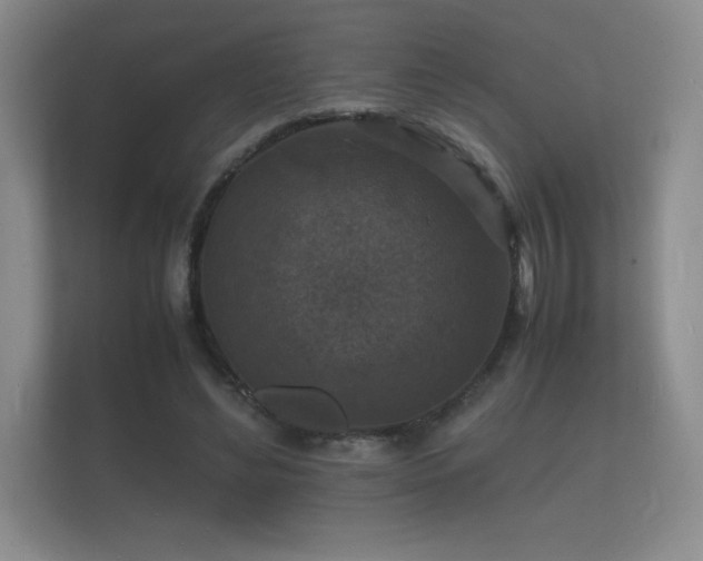 X0000112150492200908141217