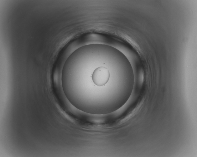 X0000112150493200908141217