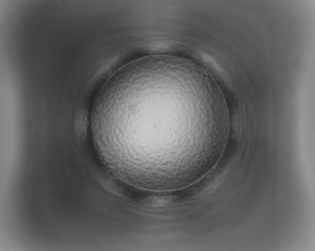 X0000112150495200908141217