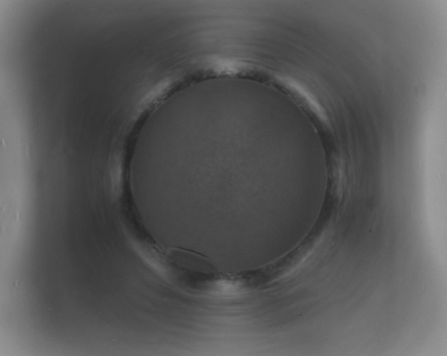 X0000112150496200908141217