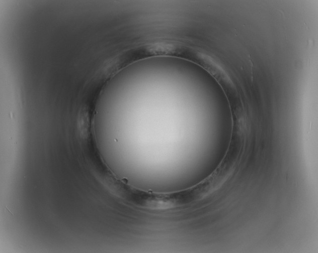 X0000112150498200908141217