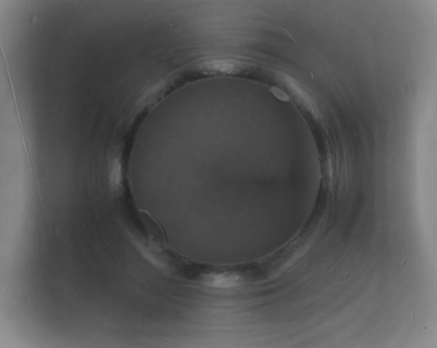 X0000112150500200908141217