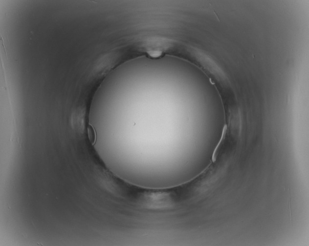 X0000112150501200908141217