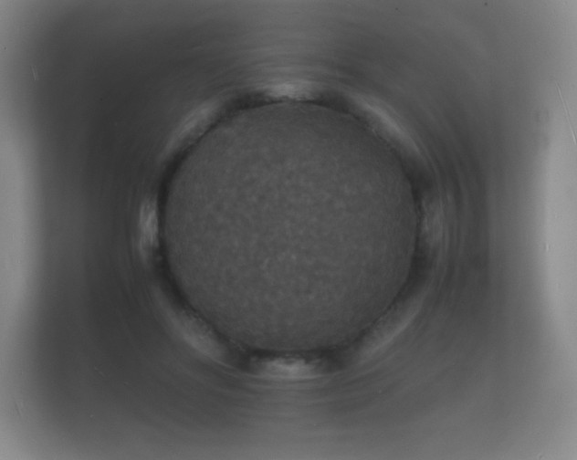 X0000112150502200908141217