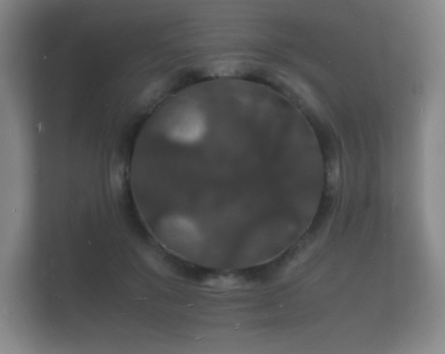 X0000112150503200908141217