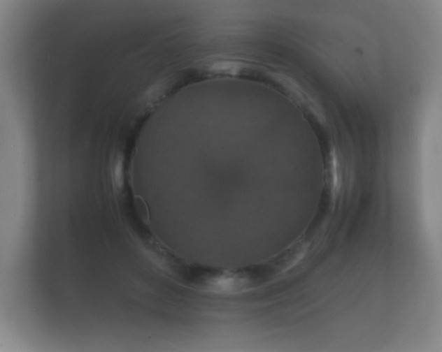 X0000112150504200908141217