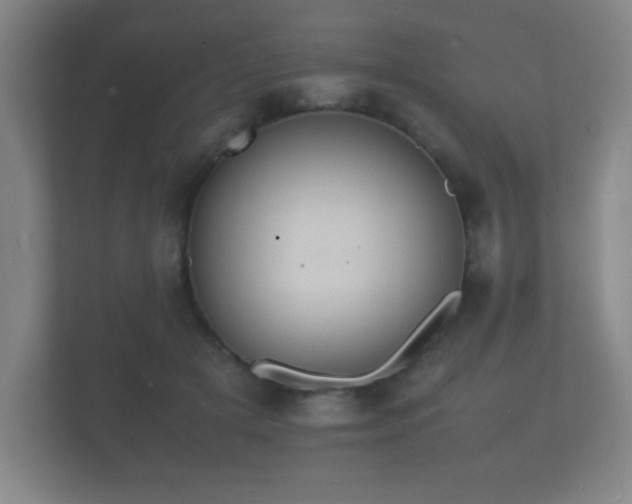 X0000112150505200908141217