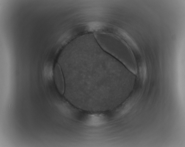 X0000112150508200908141217