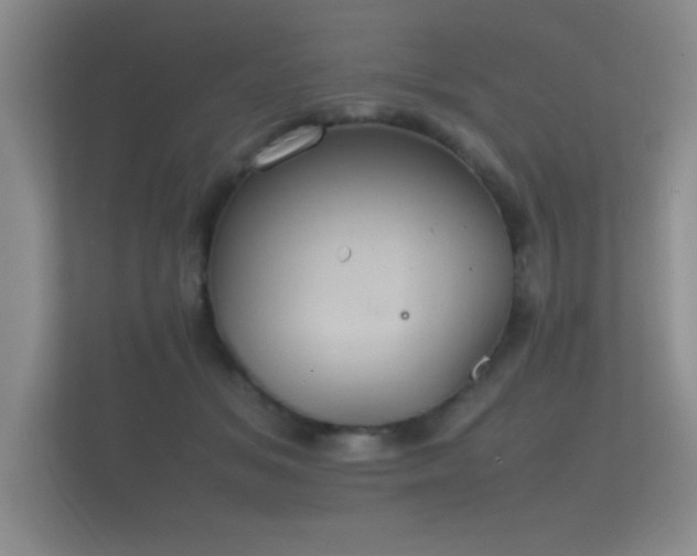 X0000112150509200908141217