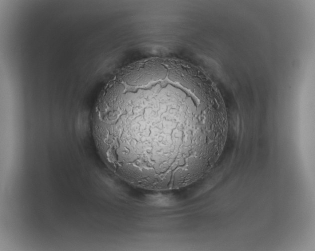 X0000112150511200908141217