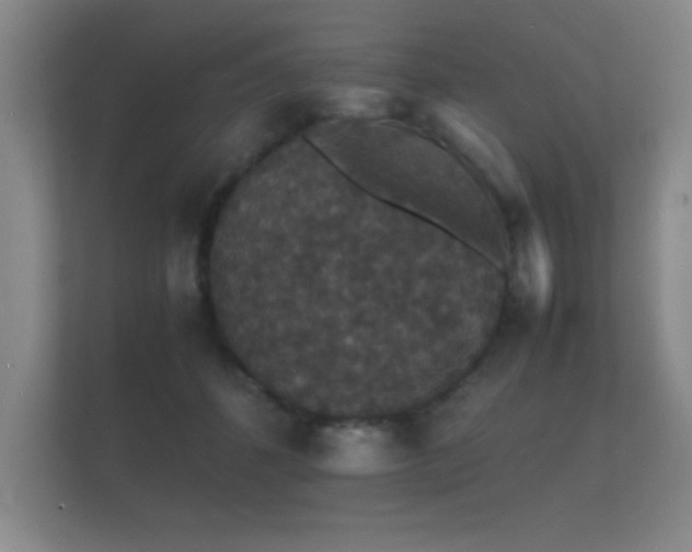 X0000112150512200908141217