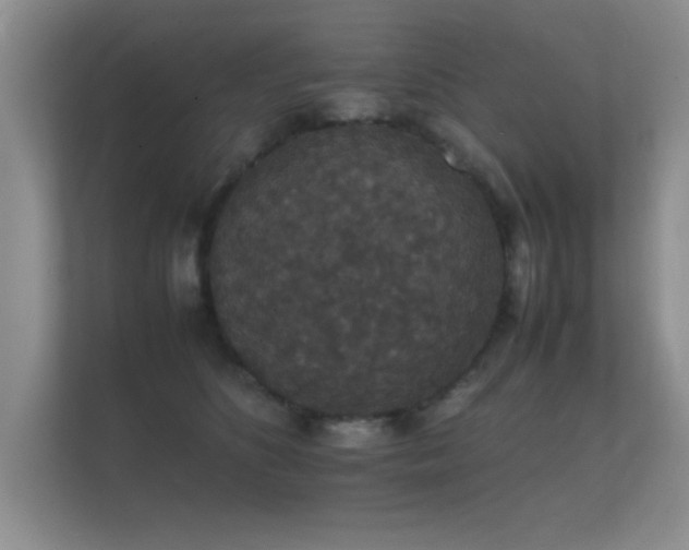 X0000112150516200908141217