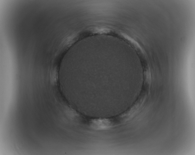 X0000112150517200908141217
