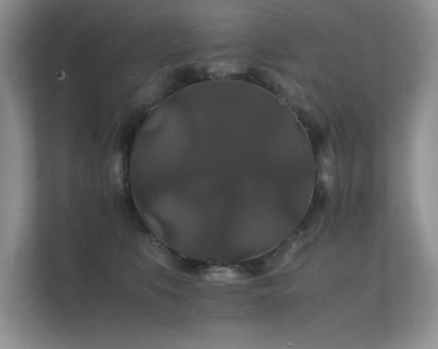 X0000112150519200908141217