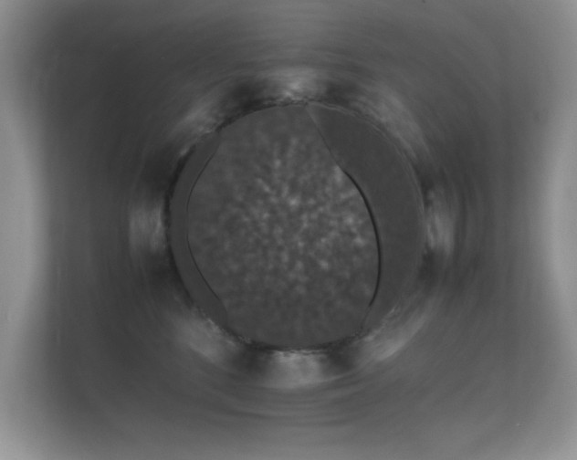 X0000112150520200908141217