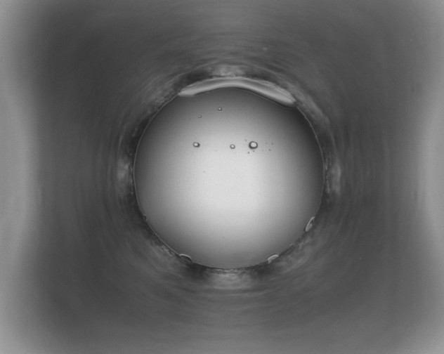 X0000112150521200908141217