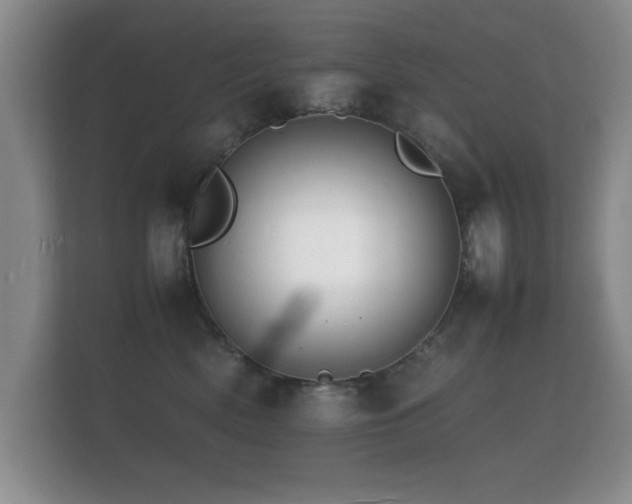 X0000112150522200908141217