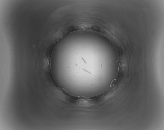 X0000112150523200908141217