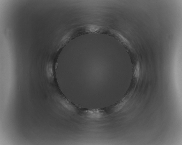 X0000112150524200908141217