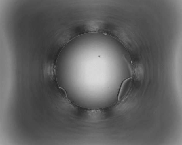 X0000112150525200908141217