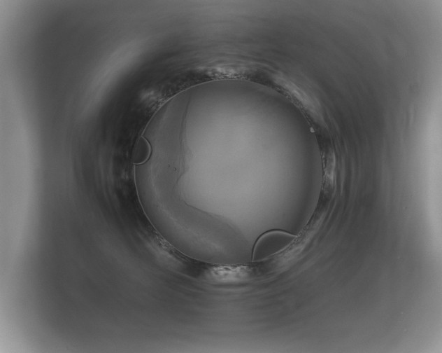 X0000112150526200908141217